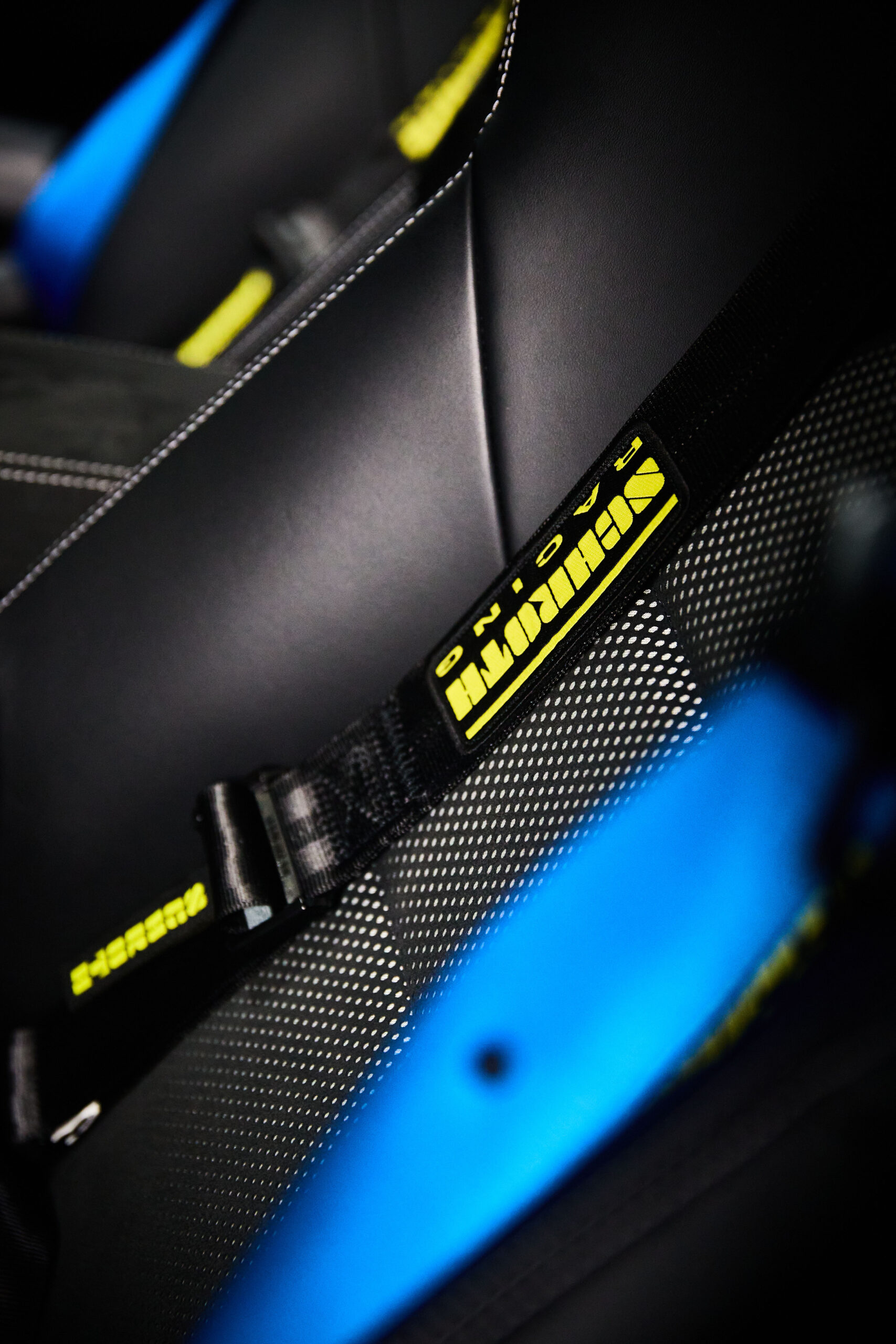 Porsche GT3 RS – Schroth Harness Detail